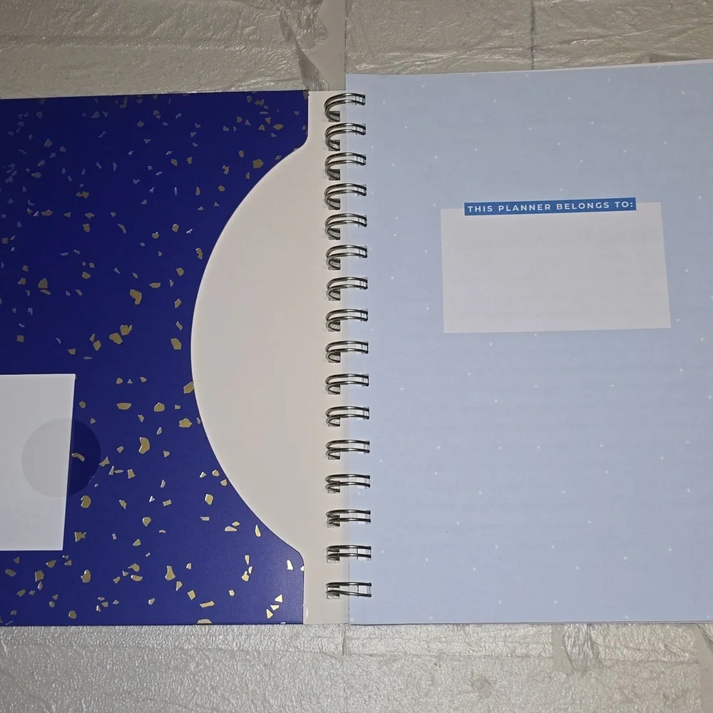 Blue and Gold Budget Planner‎